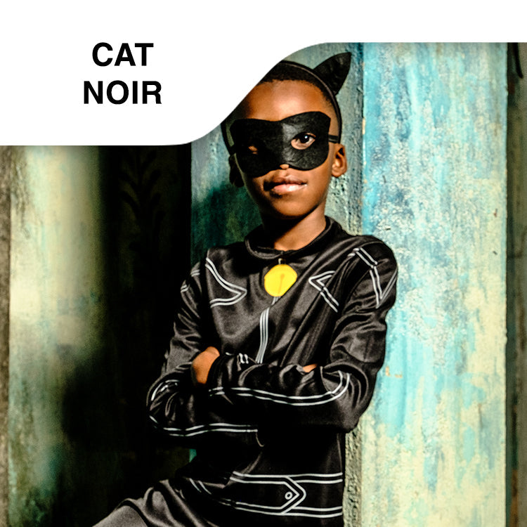 Character: Cat Noir