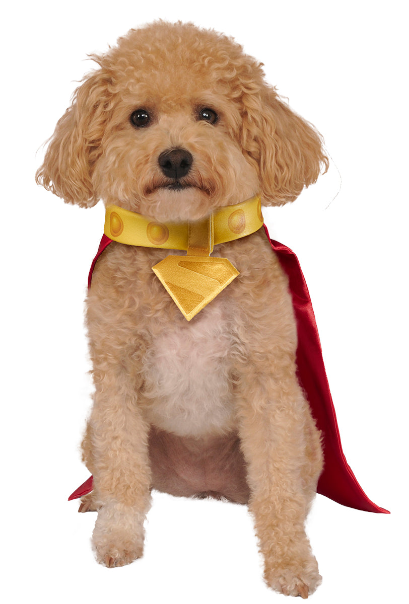 COSTUME DA KRYPTO MASCOTTE