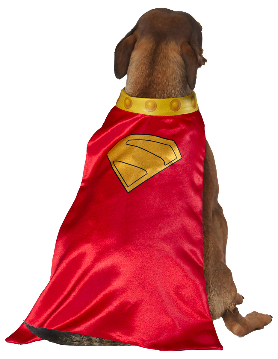 COSTUME DA KRYPTO MASCOTTE