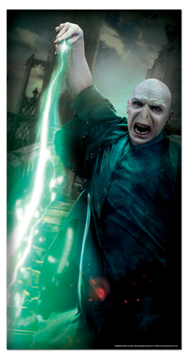 Door Cover Voldemort