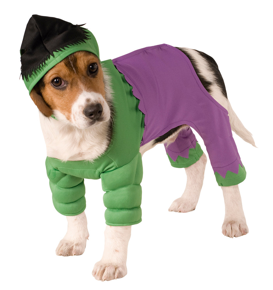 Disfraz Hulk Mascota